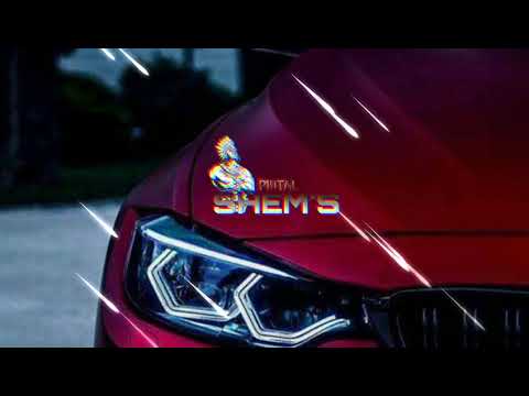 DJ VibZ x DJ Styx x Borgeous ● Invincible ● Zouk