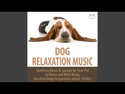 Relaxing Dog Music - Alpha Binaural Beats, Soothing Hum Extractor Hood Sound, No High...