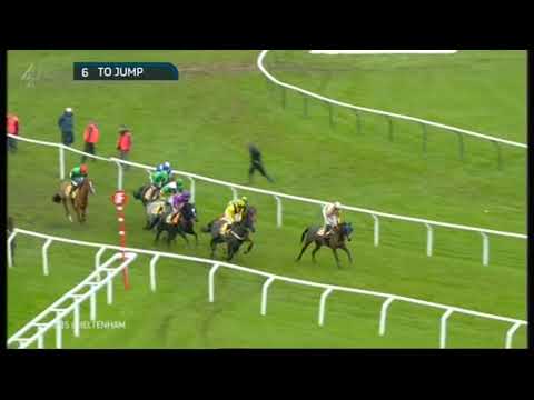 2014 JCB Triumph Hurdle Trial - Cheltenham Open meeting