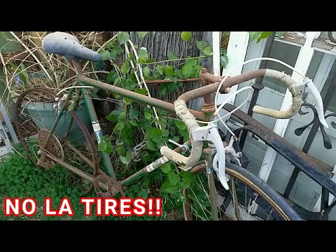 RESTAURACIÓN Casera de Bicicleta Antigua con actualización