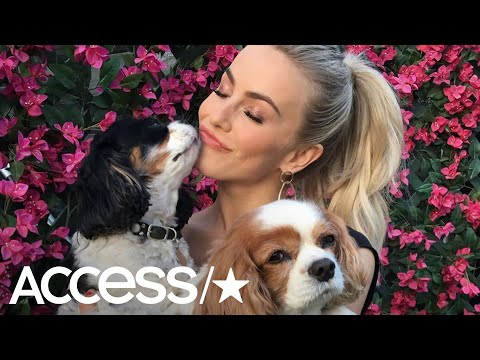 Julianne Hough & Brooks Laich Mourn Tragic Death Of Their 2 Beloved Dogs: 'Now You Are Free'