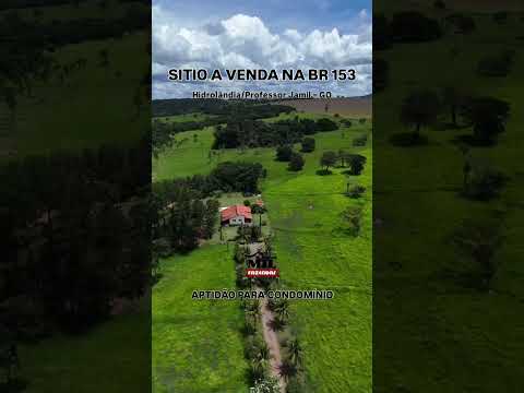 Sítio à Venda 17,80 Alqueires (86,18 ha) BR-153 • Hidrolândia/Professor Jamil – GO #sitioavenda