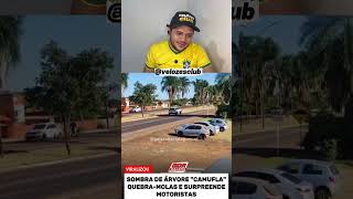 Camuflagem no trânsito