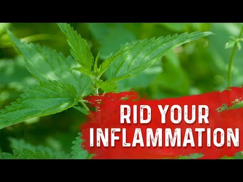 Deeper Causes of Pain Inflammation – Dr Berg