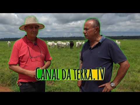 Entrevista com Laerte Queiroz Em Nova Mamoré - Mostrando a Vida do Produtor Parte 1