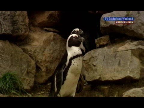 Krugers Park (21-09-2008)