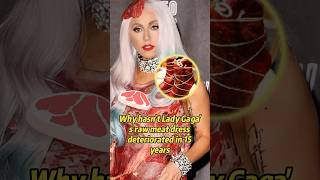 Why hasn’t Lady Gaga’s raw meat dress deteriorated in 15 years ?#celebrity #ladygaga