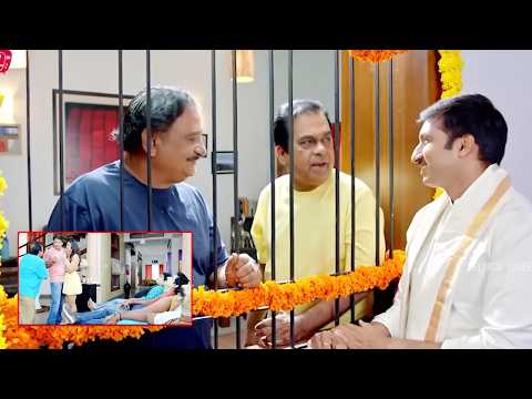 Gopichand And Brahmanandam,Rakul Preet Singh Blockbuster Movie Comedy Scenes | @TeluguVideoZ