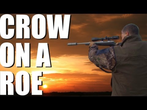 Fieldsports Britain – Crow on a roe + the CLA Game Fair 2013 Fieldsports Britain – Crow on a roe + the CLA Game Fair 2013