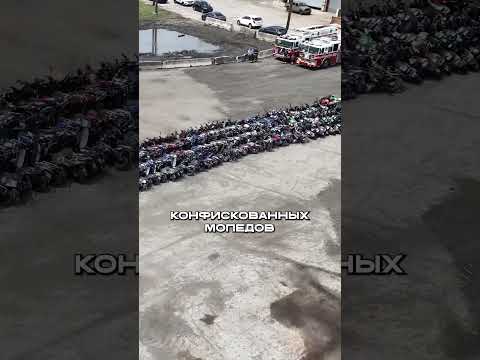 Бедные МОПЕДЫ: Бульдозеры Прошлись без Сожаления