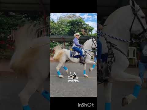 Jenny Rivera de San Gregorio - Diriamba en el desfile hípico de Santa Teresa.