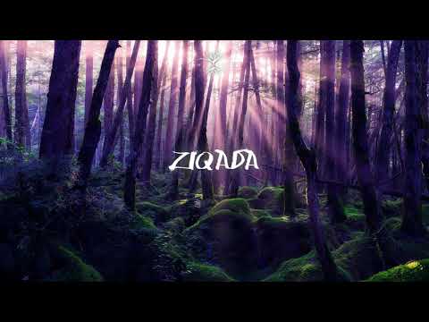 ZIQADA - MultitoX [Dark Psy] • DJ-Set