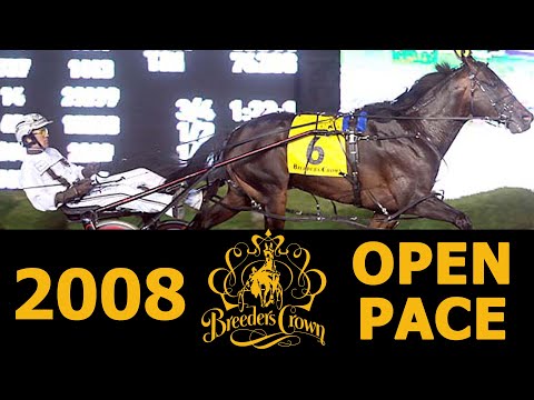 2008 Breeders Crown - Mister Big - Open Pace