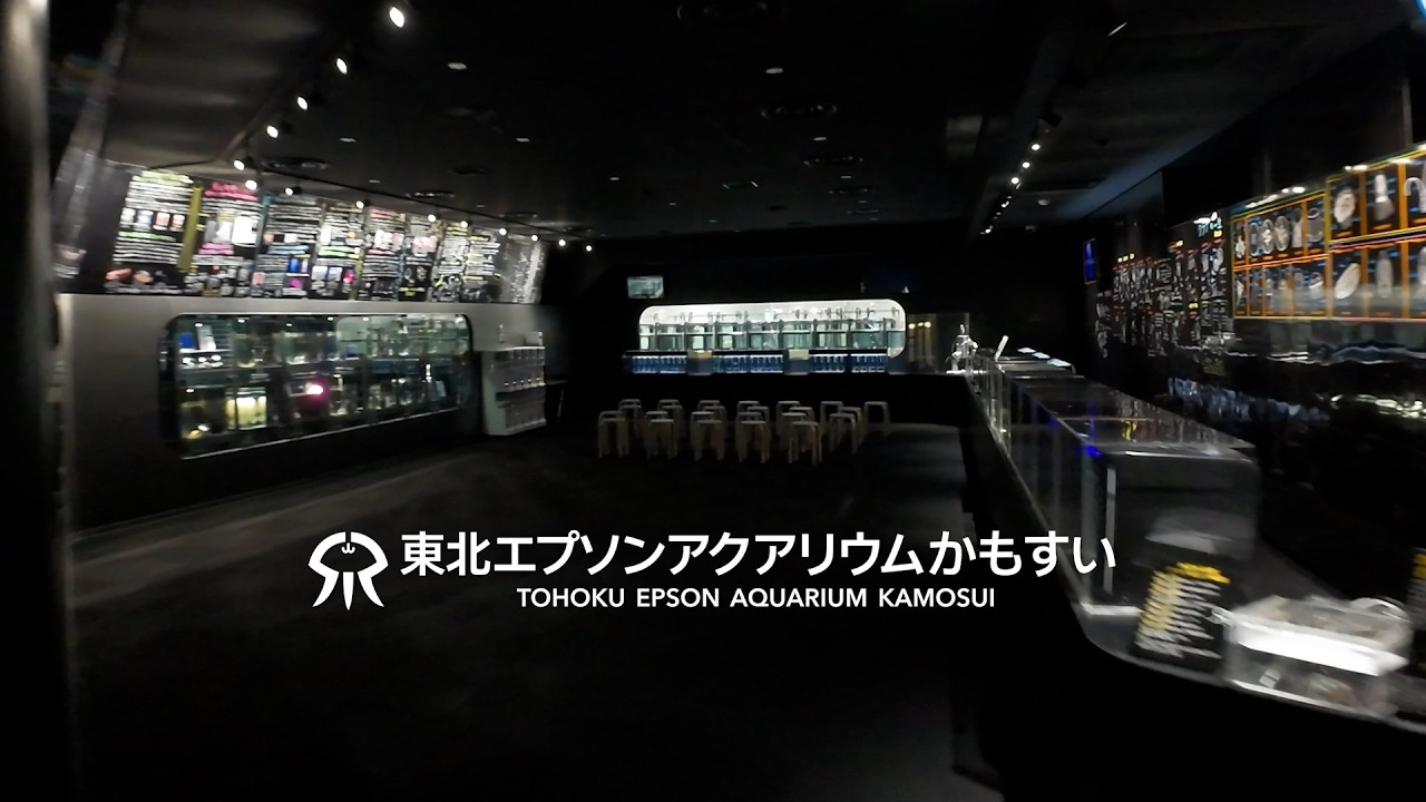 【凝縮3分】世界最大級のクラゲ水族館！『東北エプソンアクアリウムかもすい』の紹介