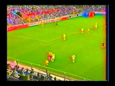 1993 (August 22) Sweden 1-France 1 (World Cup Qual...