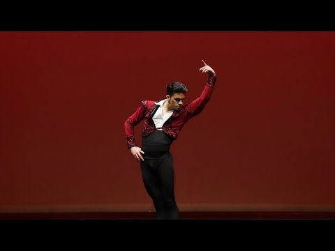 Jorge Barani - Don Quixote (Basilio) Variation Act 3.