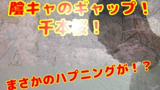 ギャップがある陰キャが千本桜弾いたらハプニングが？！