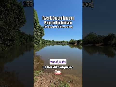 FAZENDA BOA PRA CANA COM PREÇO DE OPORTUNIDADE 155 ALQUEIRES (750 HECTARES) #fazendaavenda #agro