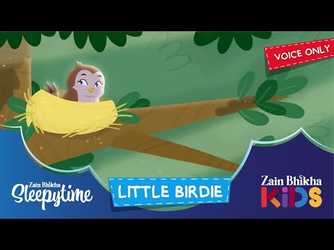 Little Birdie | Voice Only | Zain Bhikha