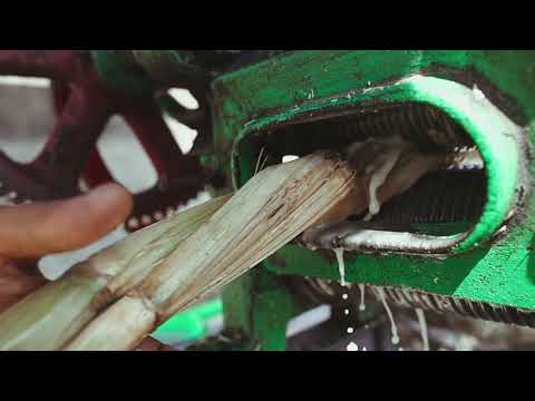 Sugarcane Juice Machine Footage | Free Video Footage | Global Pixels