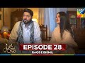 Raqs E Bismil Episode 28 Last Episode