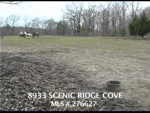 8933 SCENIC RIDGE COVE, LAKE CORMORANT, MS