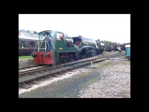 Auto-trailer BR(W)233 and BR(E)60009 being shunted at Buckfastleigh