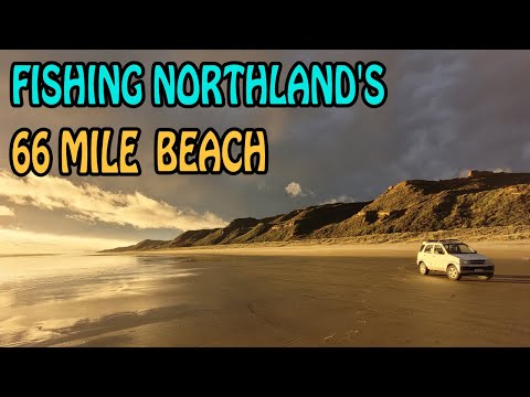 Surfcasting: A Top Spot at New Zealand's Ripiro Beach