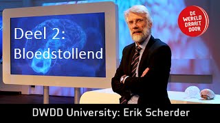Het Brein deel 2 De Wereld Draait Door University met Prof. dr Erik Scherder (FullHD)