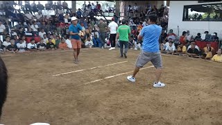 Download lagu Subok sa 5 stags derby,3WINS tayo mga KAMANOK PINAS mp3