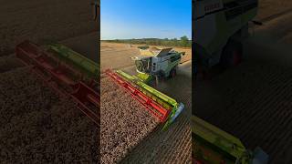 Download lagu CLAAS 8800 lexion combine harvester working in a field of wheat mp3