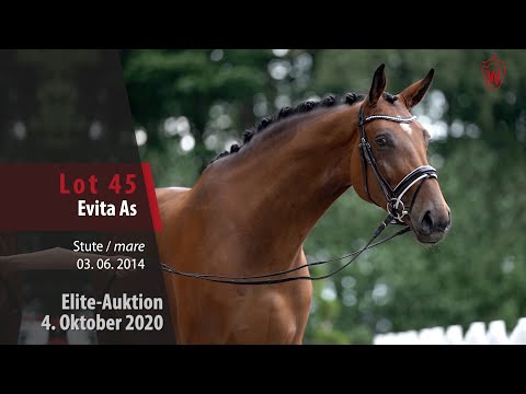 Elite-Auction October 4, 2020 Lot 45 Evita As Stute v. El Salvador - Comme il faut NRW