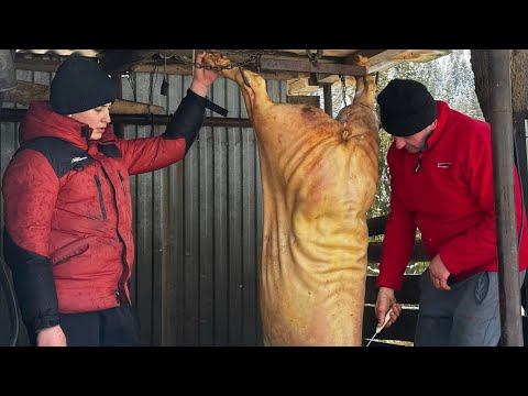 Winter day in the Carpathians: From pig to delicious stew 🥘❄️