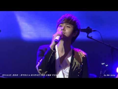 2015.8.22. 정동하 - 생각이나 in 파크콘서트 (마왕 신해철 추모 공연)