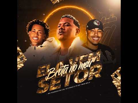 ELA VEM, BROTA NO MEU SETOR - MC RODRIGO DO CN (DJ ZIGÃO E FP DO TREM BALA) FUNK TIK TOK