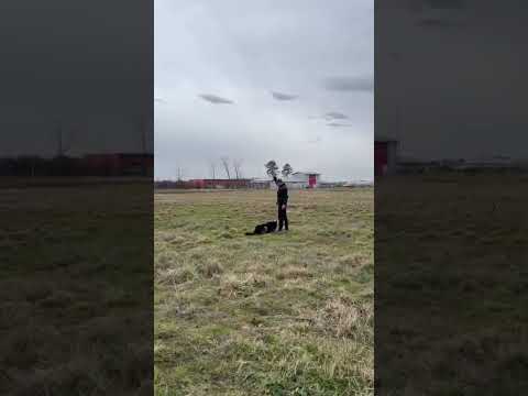 Tracking IGP Phase A