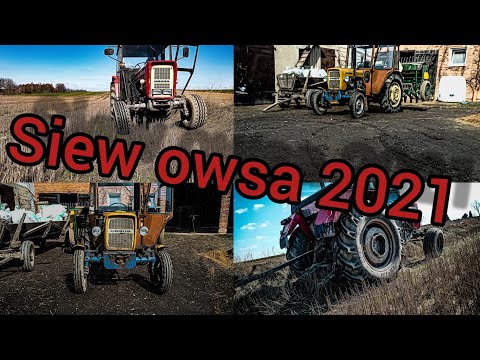 Siew owsa 2021 na gorąco!!!! Trzydziestka na dwóch kołach?!!
