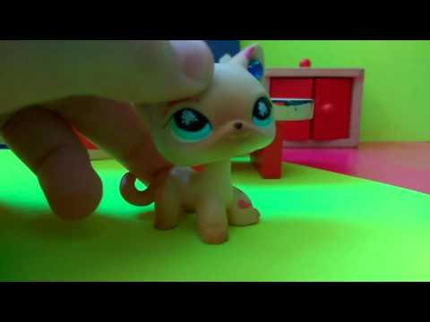 Проверка как стереть ручку с лпс?