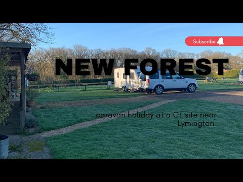 CL site in the New Forest 🌳