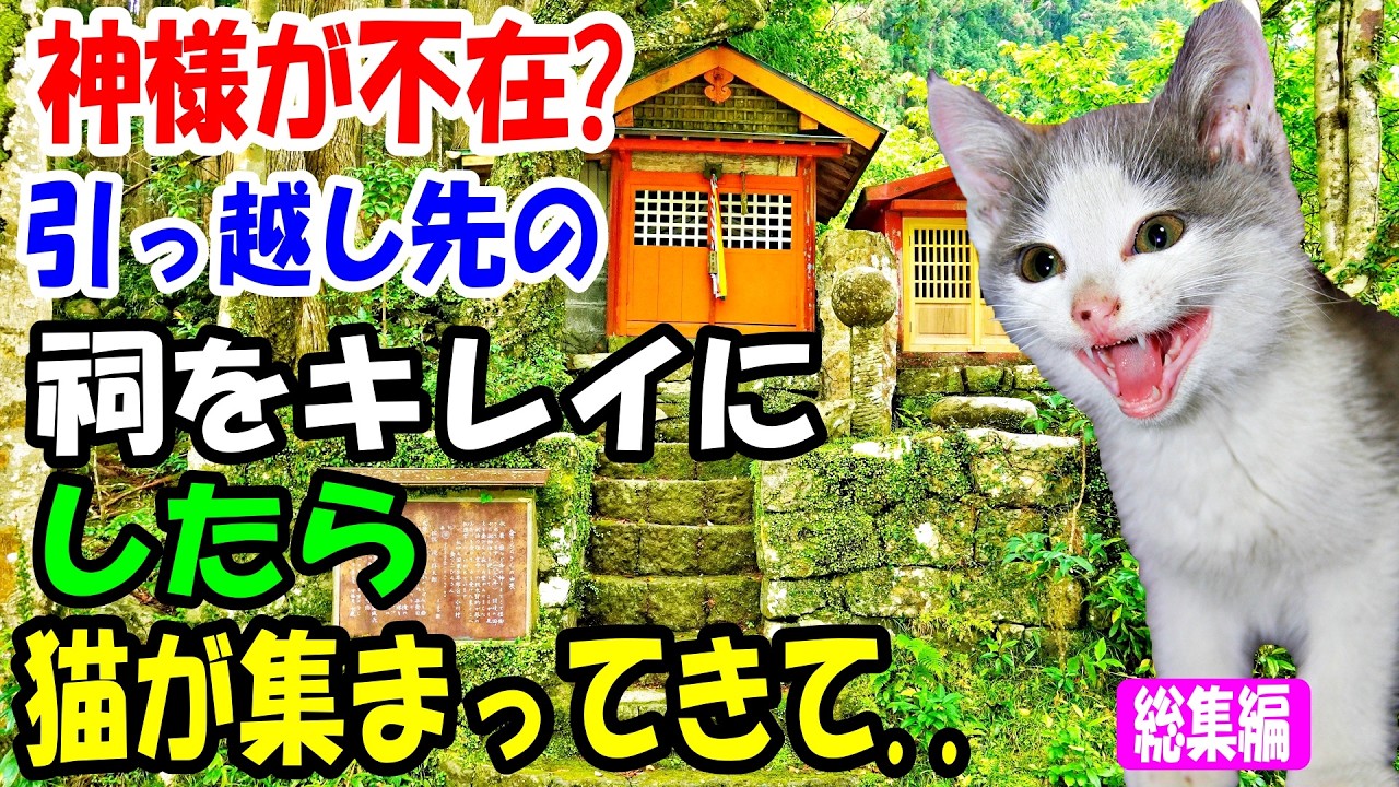 神様が不在? 引っ越し先に古びた祠が!? 祠をキレイにしたら猫が集まってきて..【猫の不思議な話】【総集編】