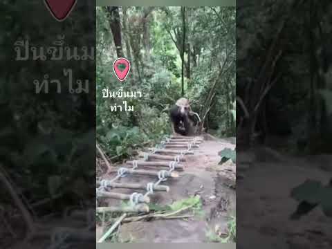 เขมรเอาจริงปีนผามาชายแดนอีก