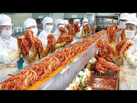 Amazing scale! Korea K-FOOD Delicious Kimchi Factory (HACCP) - Korean street food