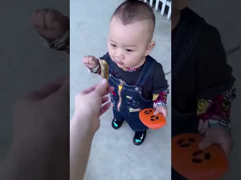 #funny #dogs #pet #dogshorts#doglife#interesting #cute