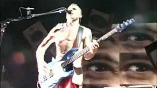 Red Hot Chili Peppers - Me And My Friends - Live Off The Map [HD]
