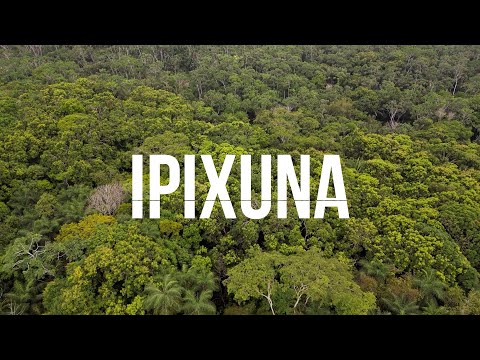 TALENTOS NOVA IPIXUNA