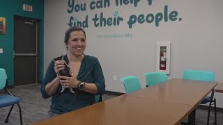 Bellmead ends contract with Waco's Pet Circle animal shelter