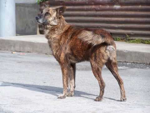 niggaswannastickmeformypaper’s Video 1904864651 HIuR6DpssRY