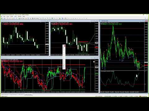 THURSDAY, 31 10 2019 WEBINAR mp4