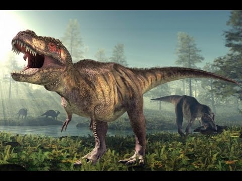 All Kind of Dinosaurs (Meat Eating)
