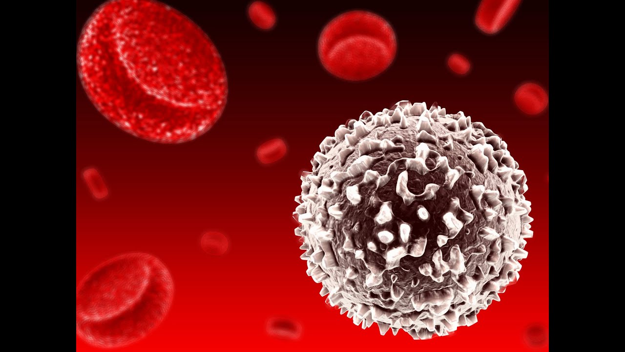 USMLE 1 Hematology 3rd (Anemia)
